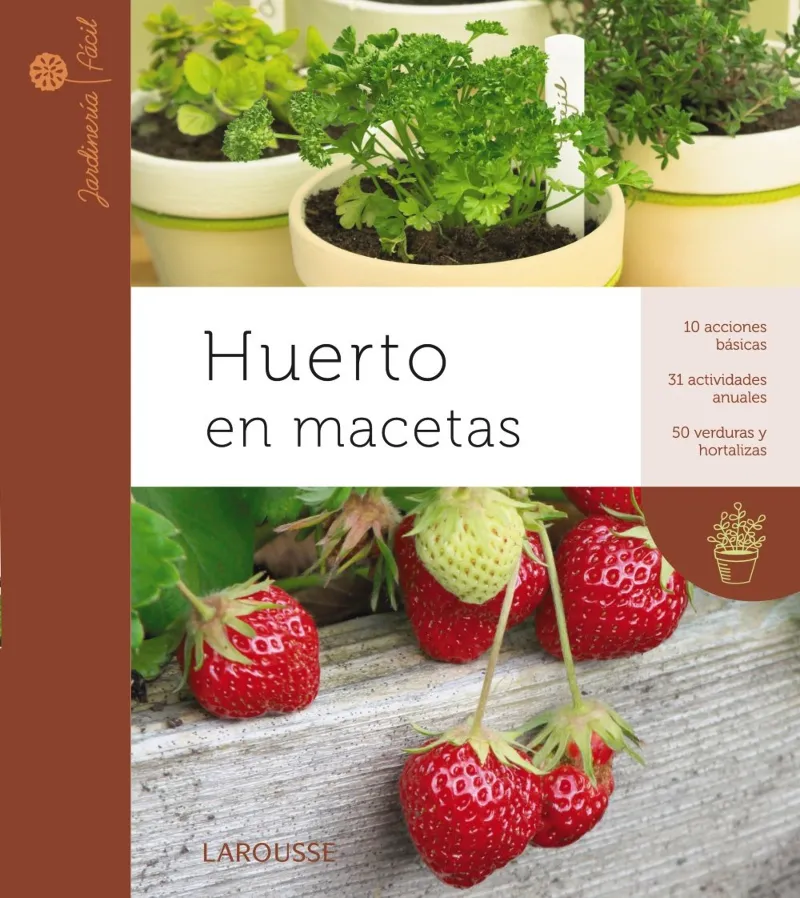 HUERTO EN MACETAS