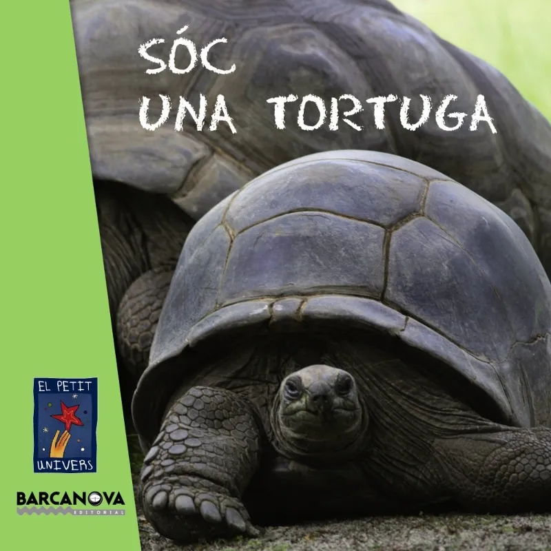 SOC UNA TORTUGA