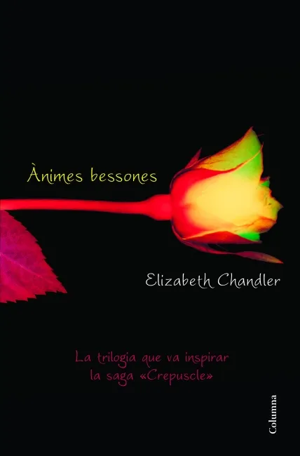 ANIMES BESSONES