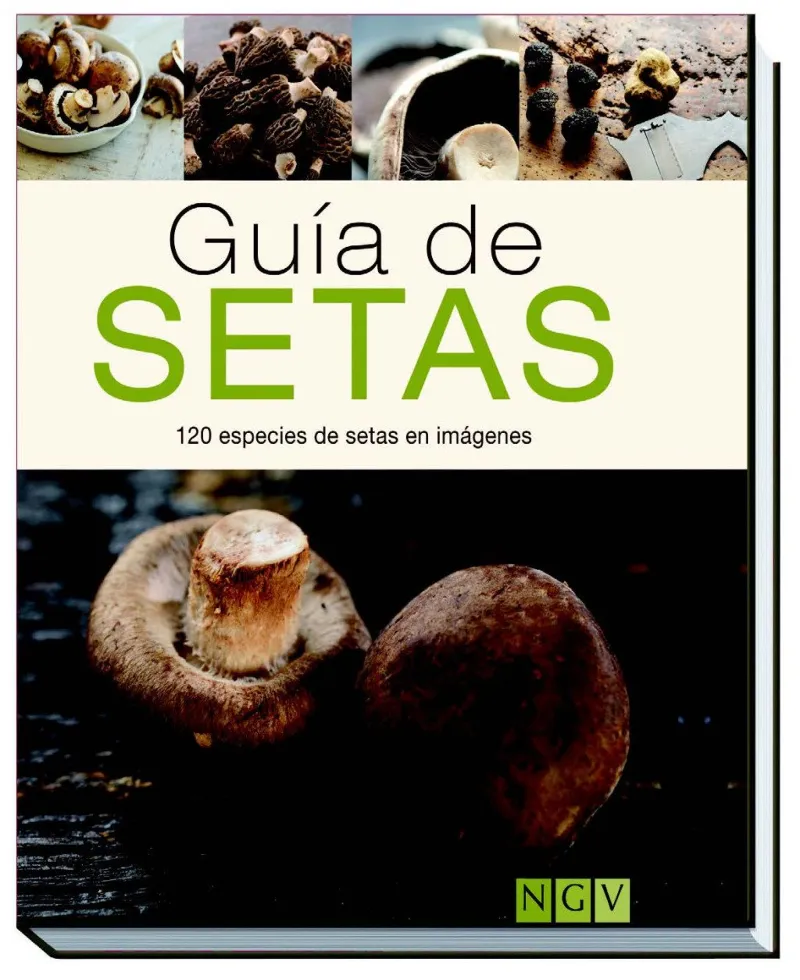 GUIA DE SETAS -120 ESPECIES DE SETAS EN IMAGENES-