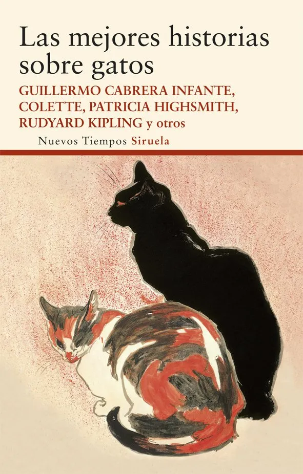 MEJORES HISTORIAS SOBRE GATOS