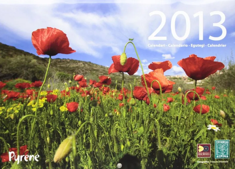 CALENDARI 2013 -PER PENJAR-