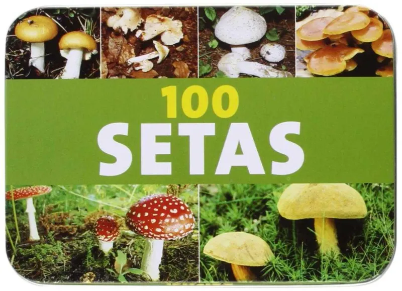 100 SETAS -CAJA METALICA-