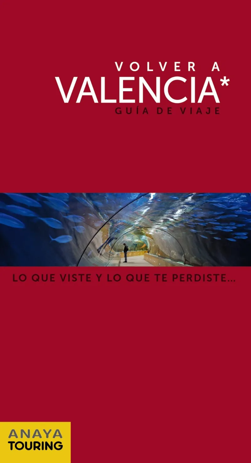 VALENCIA -LO QUE VISTE Y LO QUE TE PERDISTE-