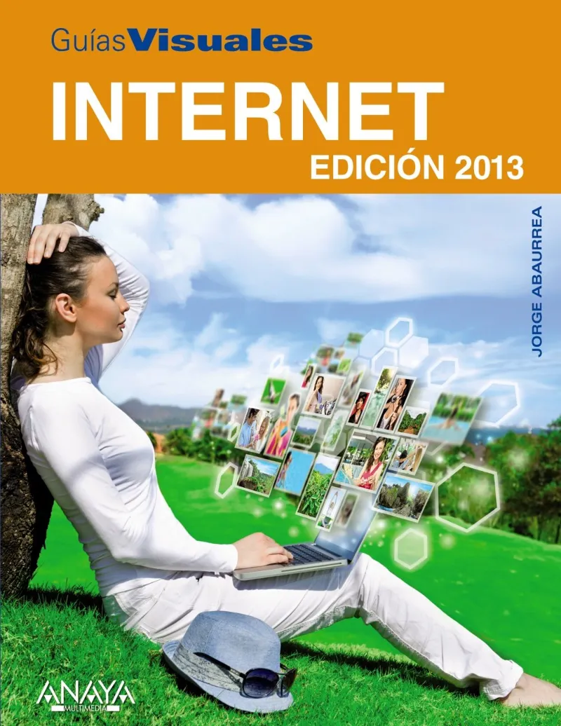 INTERNET EDICION 2013