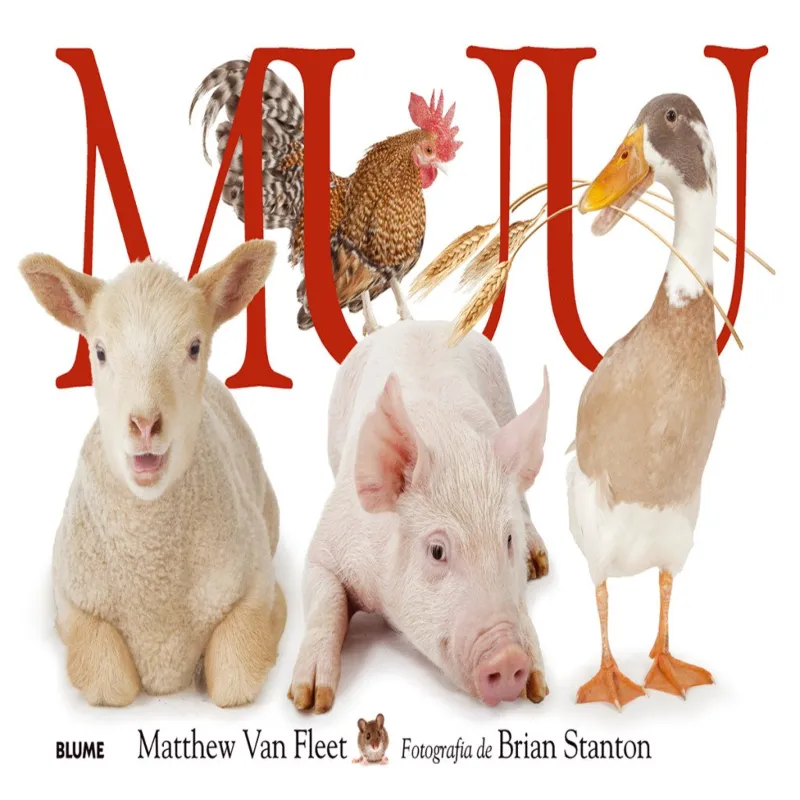 MUU -AMB SOLAPES I TEXTURES-