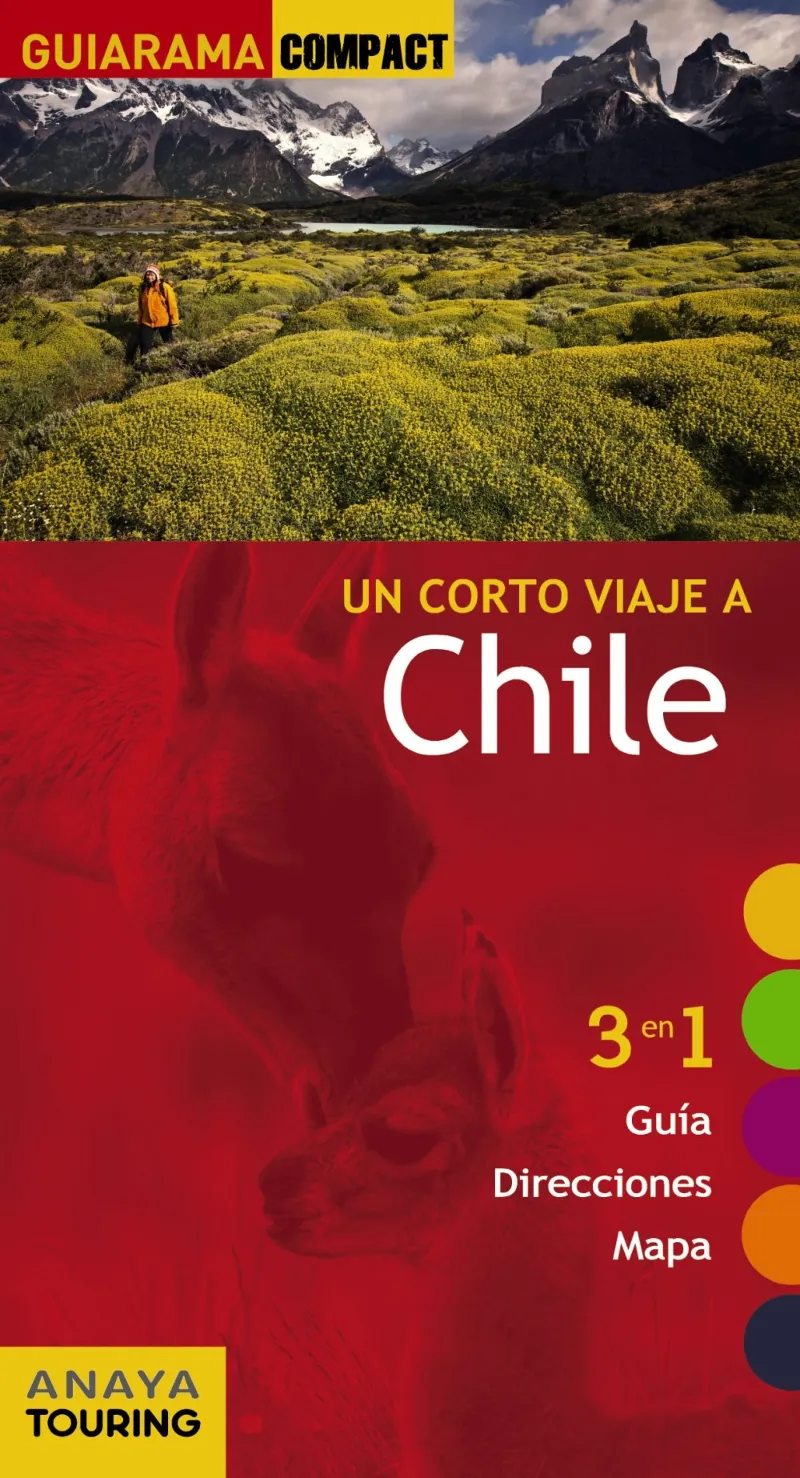 CORTO VIAJE A CHILE,UN