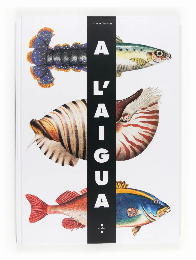A L'AIGUA -LLIBRE GRAN-
