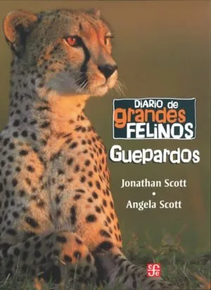 DIARIO DE GRANDES FELINOS:GUEPARDO