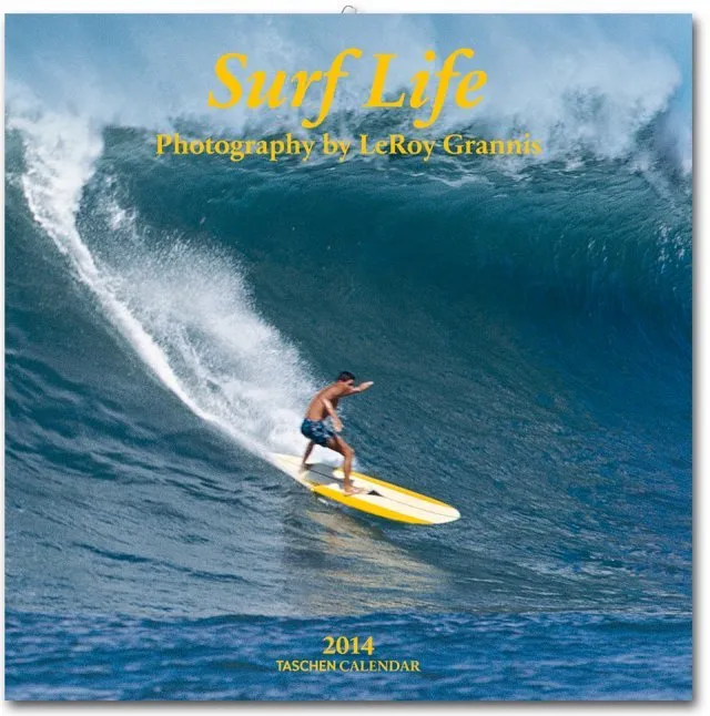 CALENDARI 2014 SURF LIFE