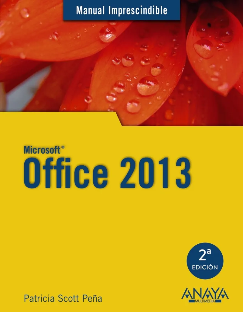 MICROSOFT OFFICE 2013