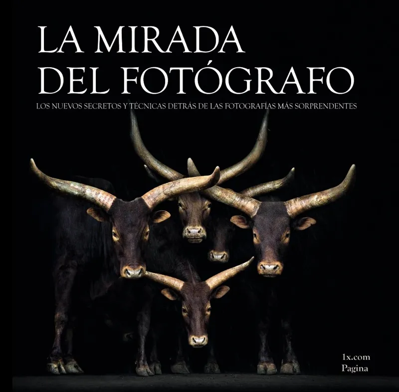 MIRADA DEL FOTOGRAFO, LA