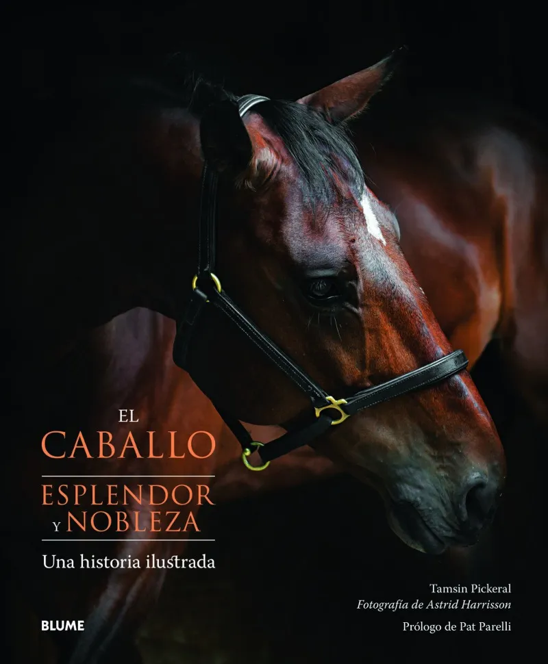 CABALLO ESPLENDOR Y NOBLEZA,EL