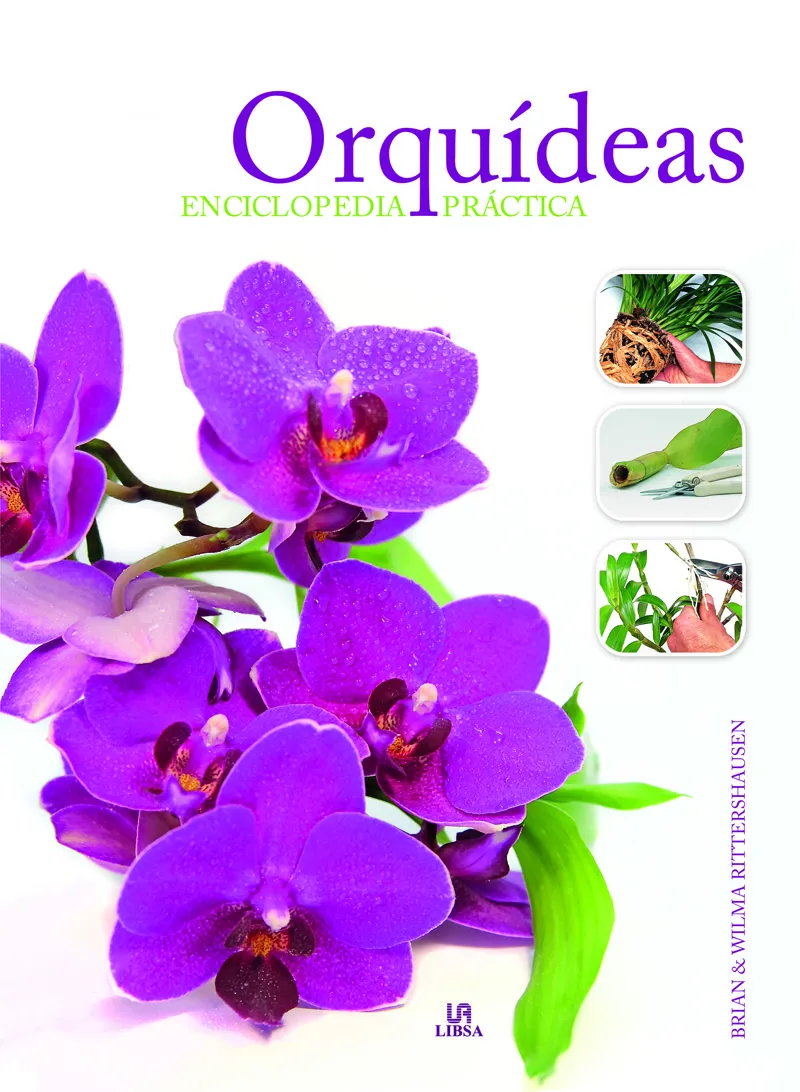 ORQUIDEAS -ENCICLOPEDIA PRACTICA-