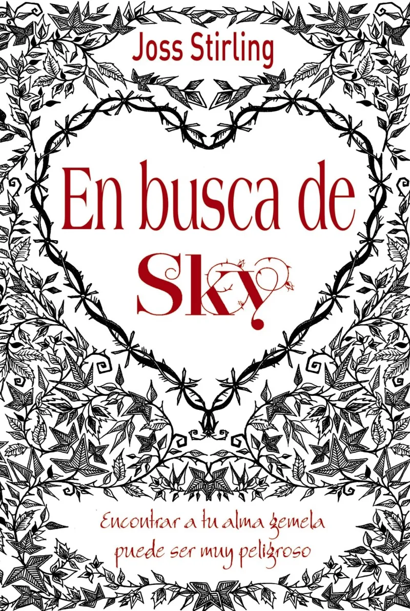 EN BUSCA DE SKY