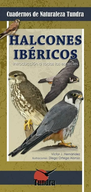 HALCONES IBERICOS INTRODUCCION A TODAS LAS