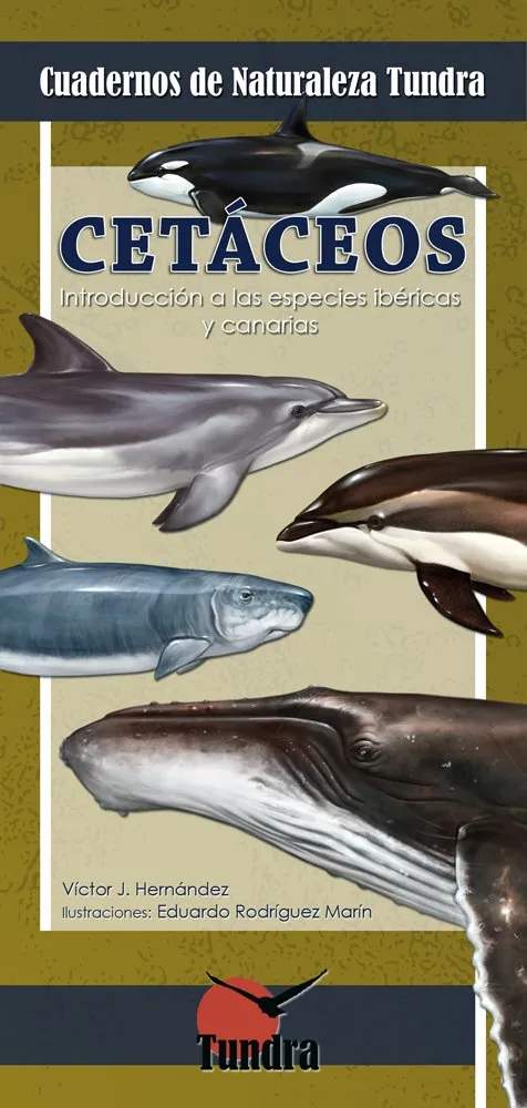 CETACEOS INTRODUCCION A LAS ESPECIES IBERICAS Y