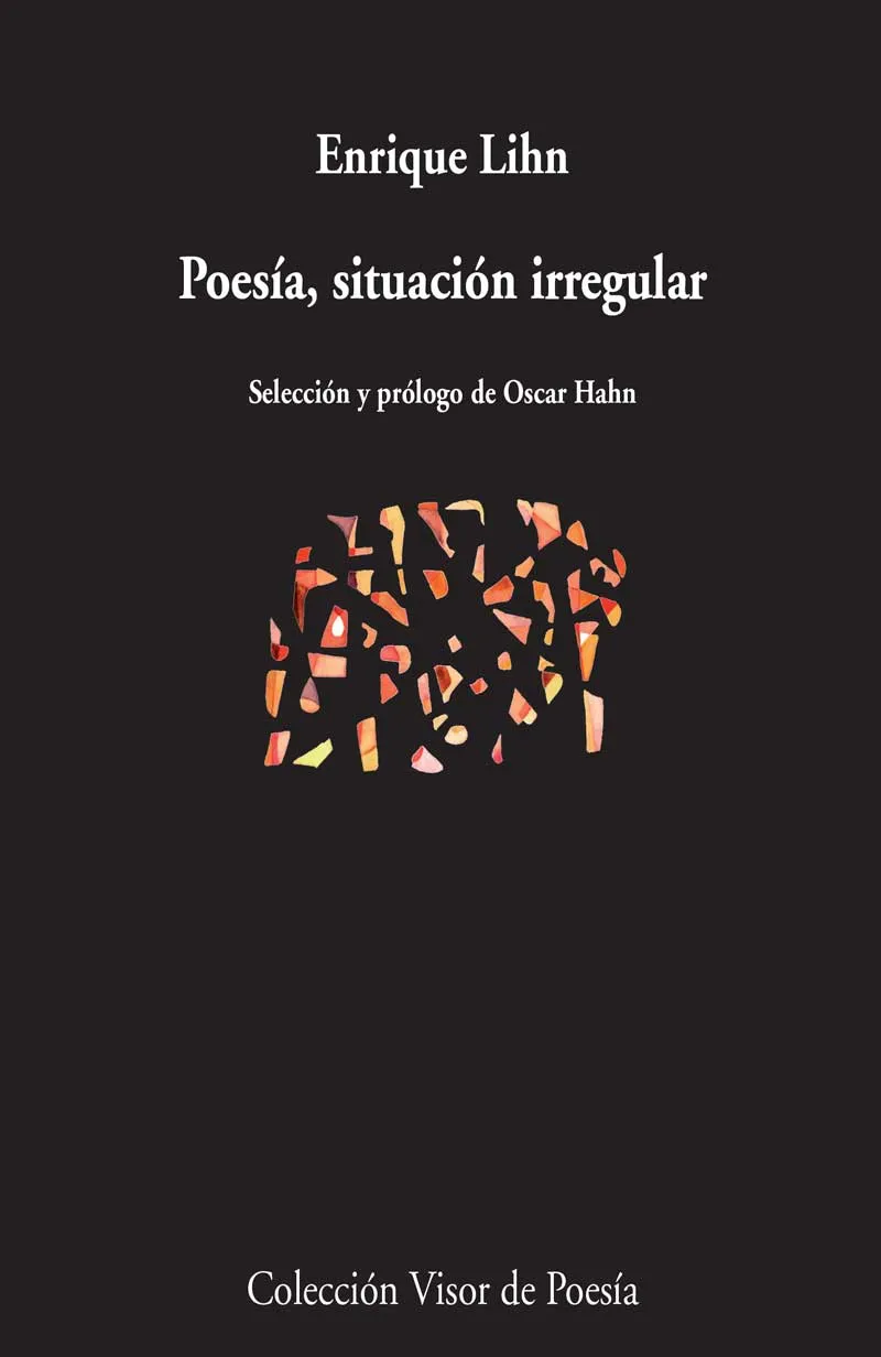 POSEIA SITUACION IRREGULAR