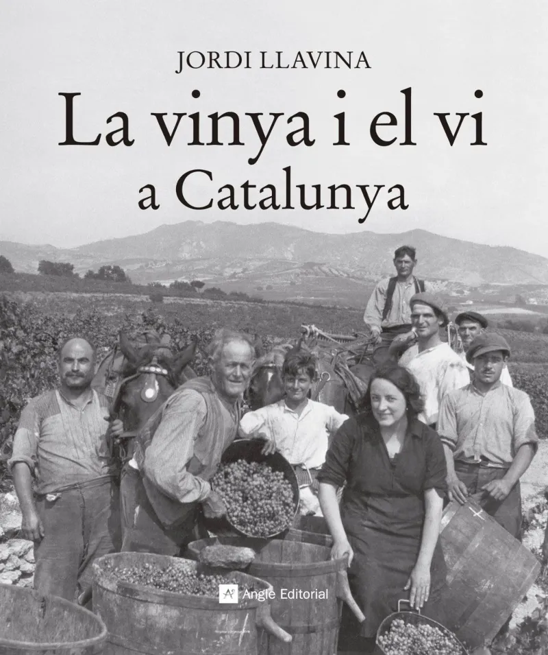 VINYA I EL VI A CATALUNYA,LA