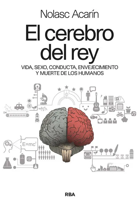 CEREBRO DEL REY, EL