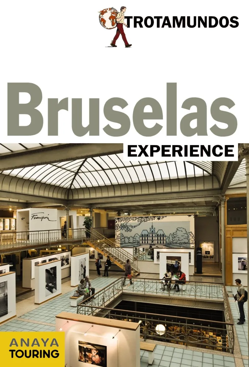 BRUSELAS EXPERIENCE
