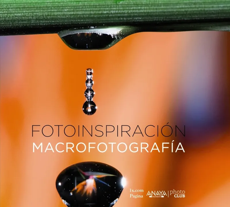 FOTOINSPIRACIO MACROFOTOGRAFIA