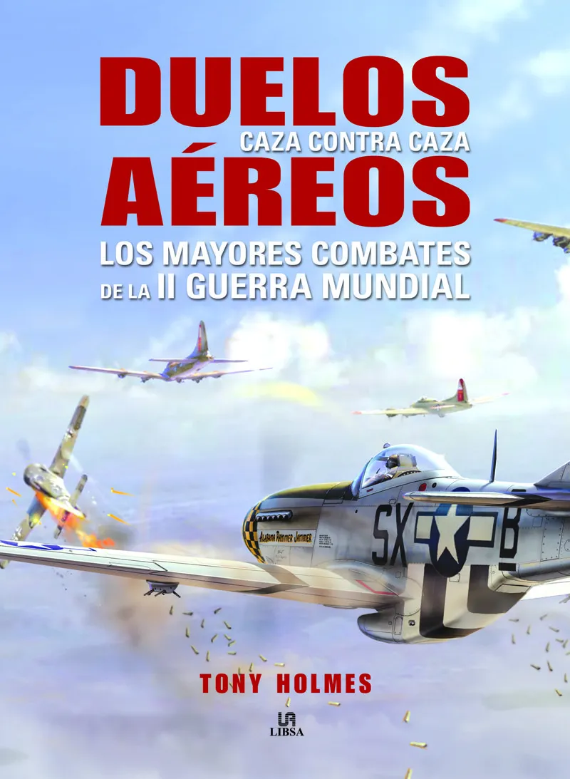 DUELOS AEREOS -CAZA CONTRA CAZA-