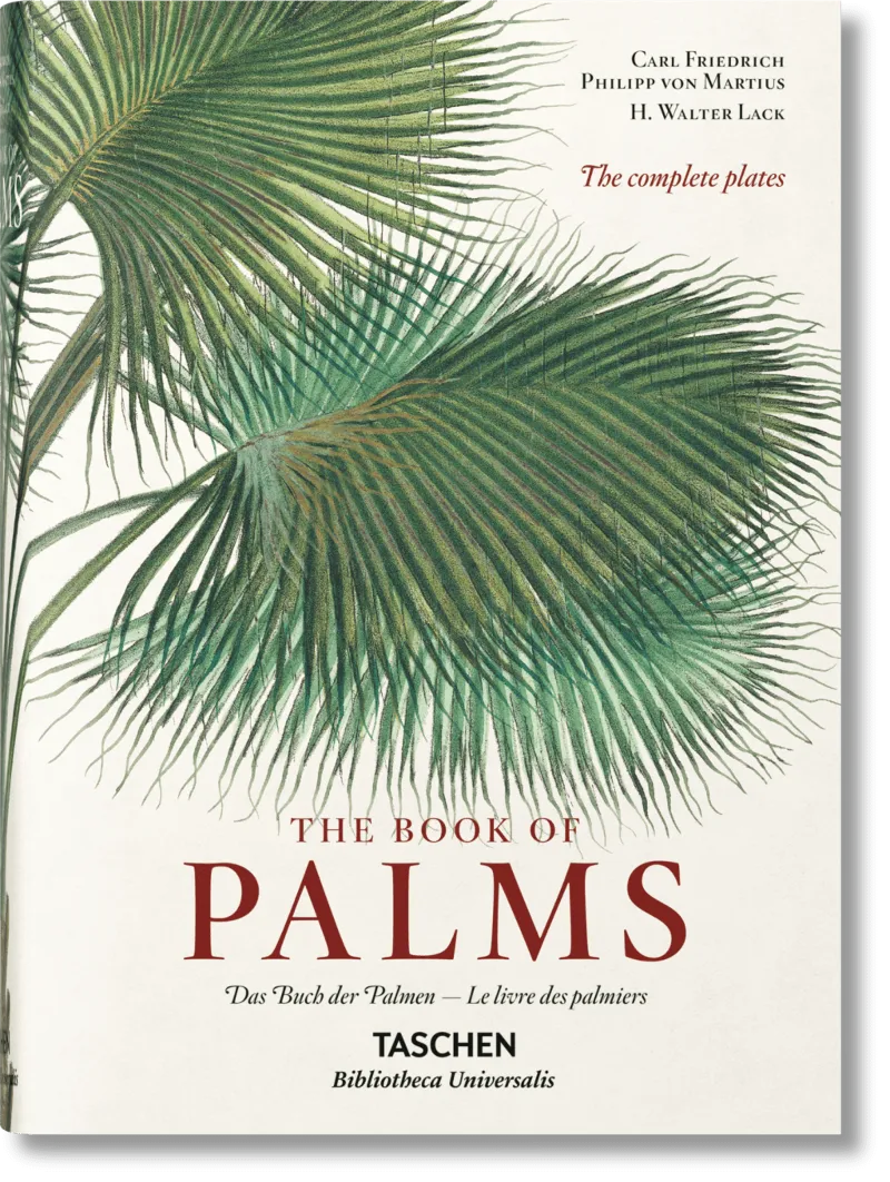 BOOK OF PALMS, THE