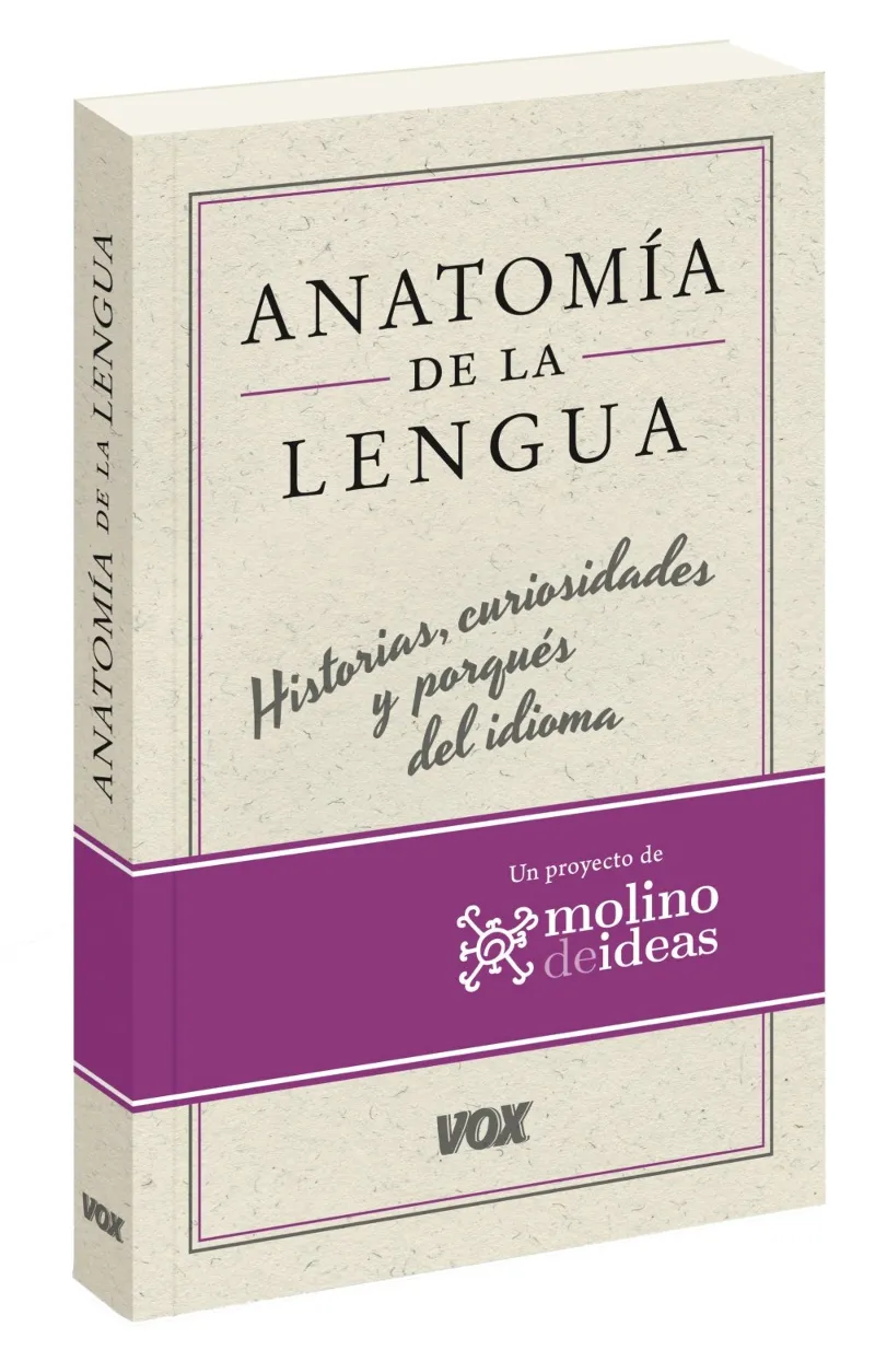ANATOMIA DE LA LENGUA