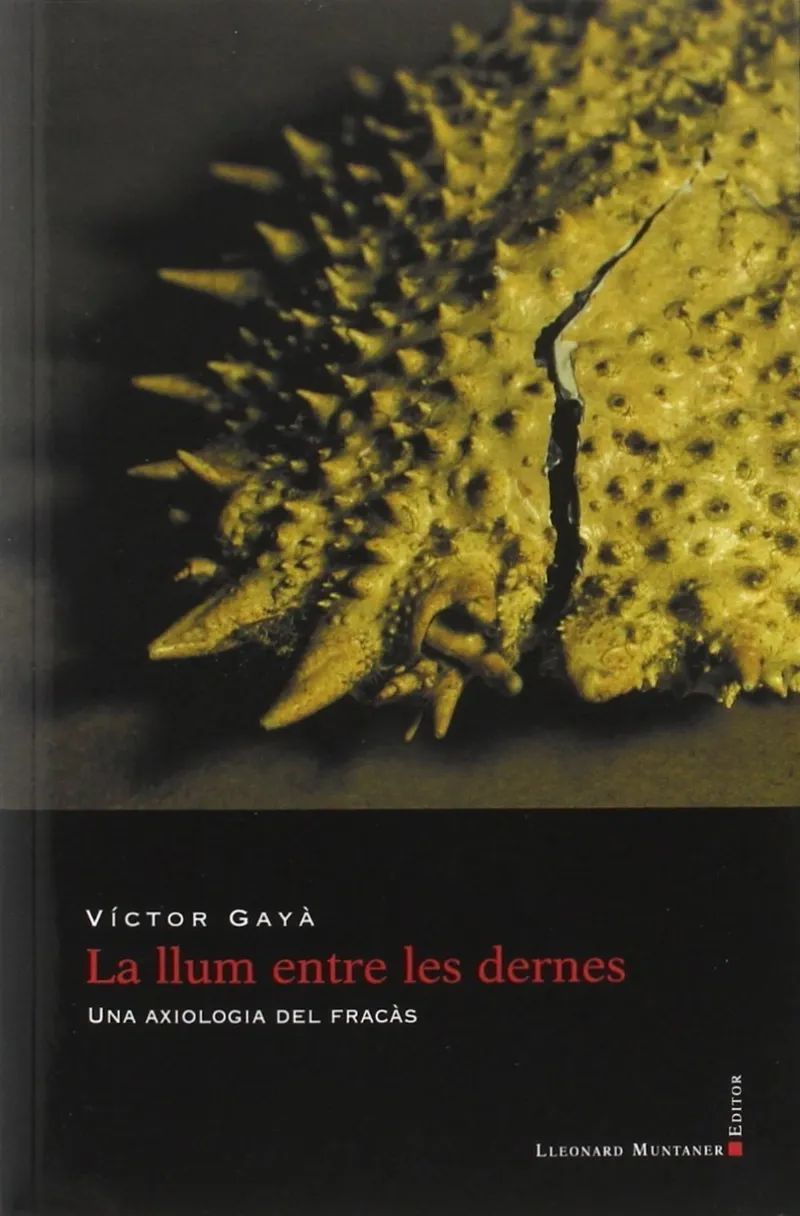 LLUM ENTRE LES DERNES, LA
