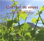 MAR DE VINYES, UN