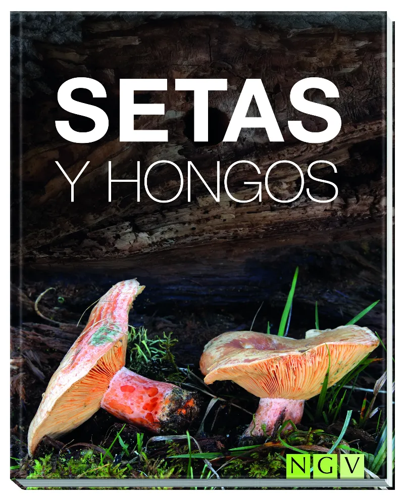 SETAS Y HONGOS -TAPA DURA-