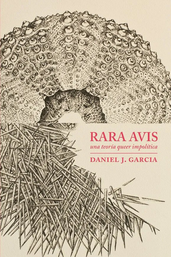 RARA AVIS -UNA TEORIA QUEER IMPOLITICA-