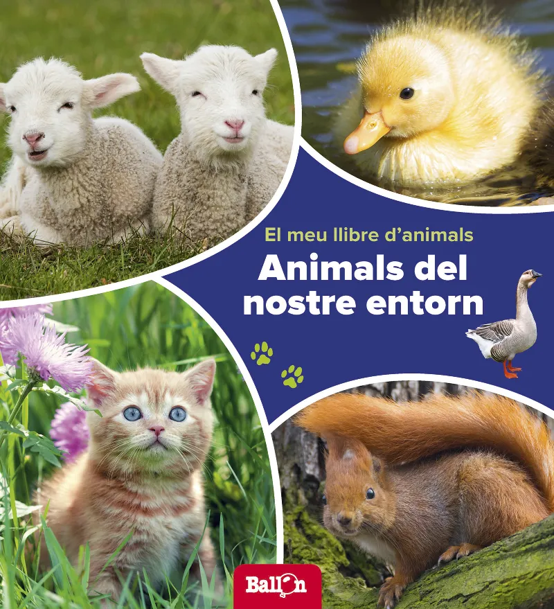 ANIMALS DEL NOSTRE ENTORN -EL MEU LLIBRE D'ANIMALS-