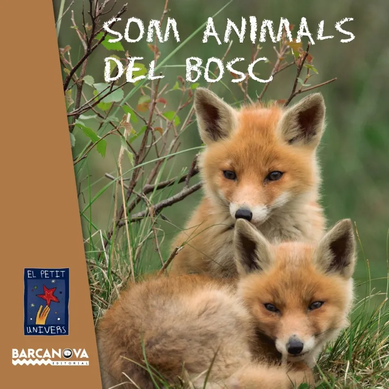 SOM ANIMALS DEL BOSC -LLETRA PAL-