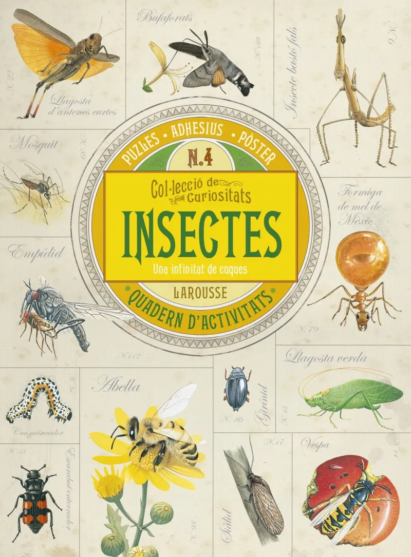 INSECTES -UNA INFINITAT DE CUQUES-