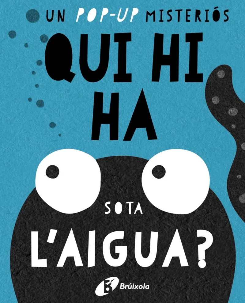 QUI HI HA SOTA L'AIGUA