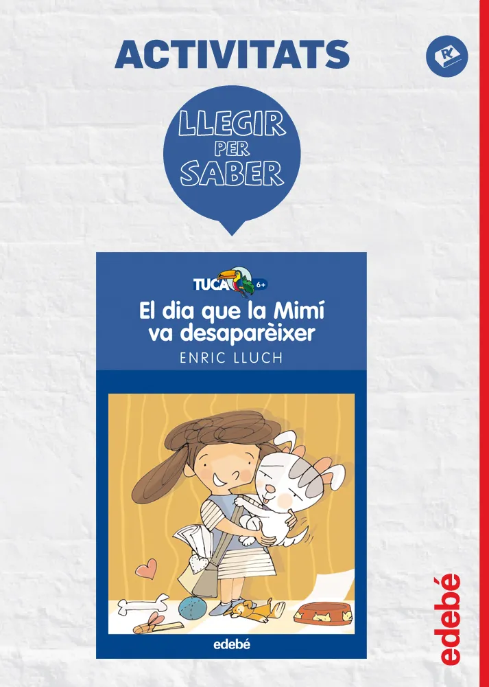 DIA QUE LA MIMI VA DESAPAREIXER, EL + LLIBRE D'ACTIVITATS
