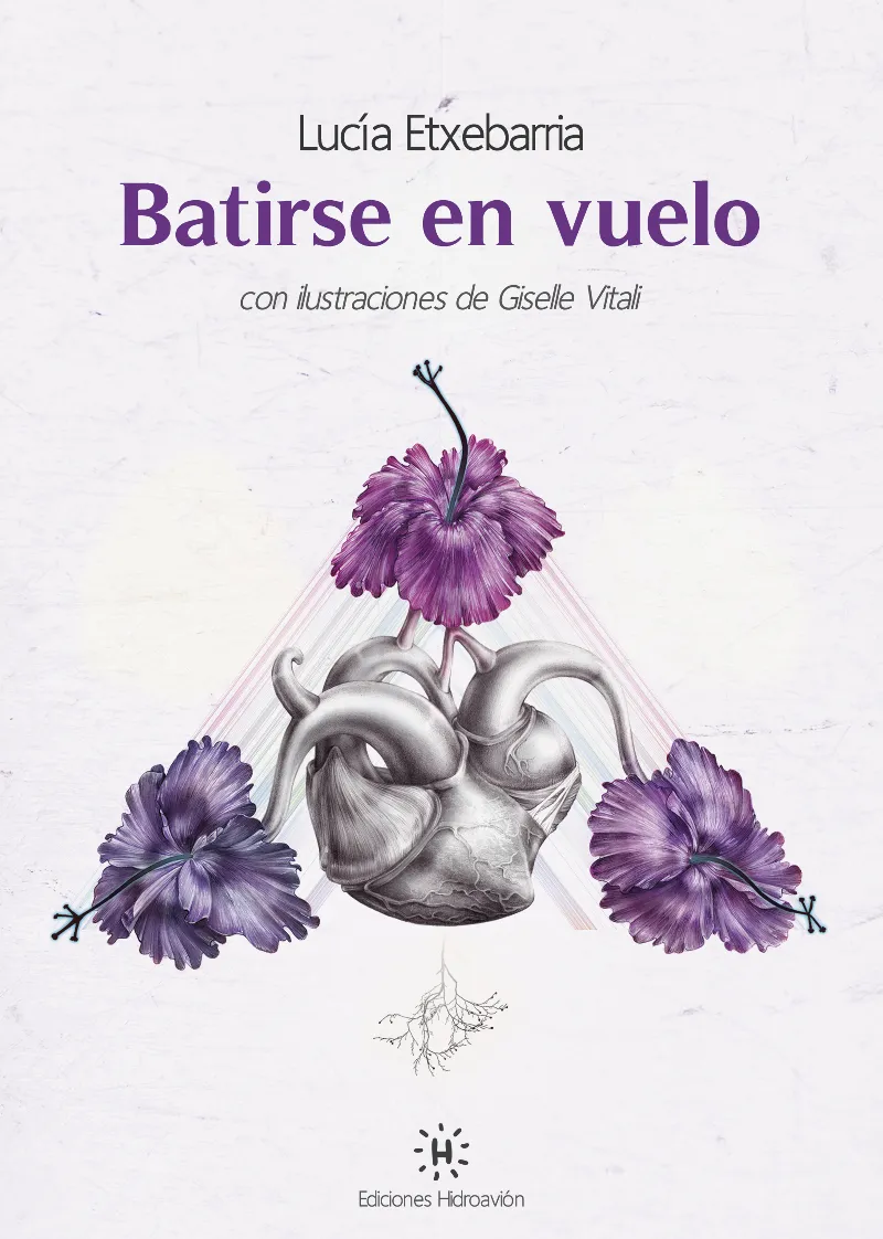 BATIRSE EN VUELO