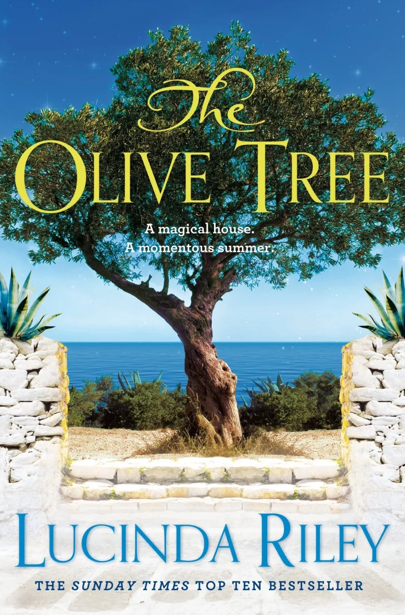 OLIVE TREE