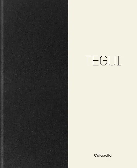 TEGUI