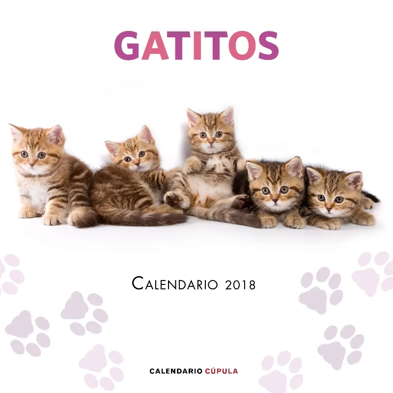 CALENDARIO 2018 GATITOS