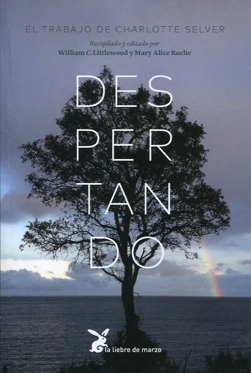 DESPERTANDO -EL TRABAJO DE CHARLOTTE SELVER-