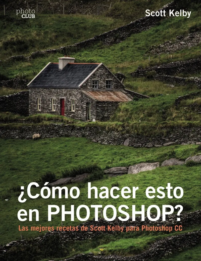 COMO HACER ESTO EN PHOTHOSHOP?