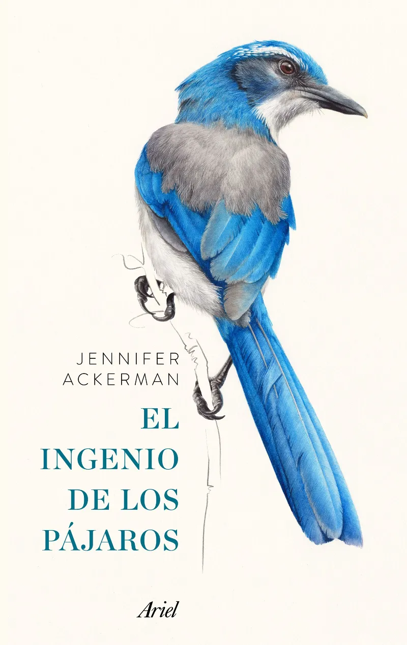 INGENIO DE LOS PAJAROS, EL + CUADERN REGAL