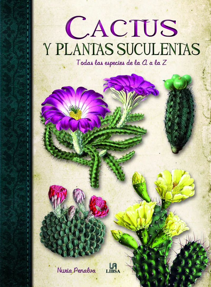 CACTUS Y PLANTAS SUCULENTAS -TODAS LAS ESPECIES DE LA A LA Z-
