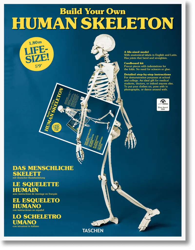 BUILD YOUR OWN HUMAN SKELETON -1.80 M LIFESIZE 5'9''-