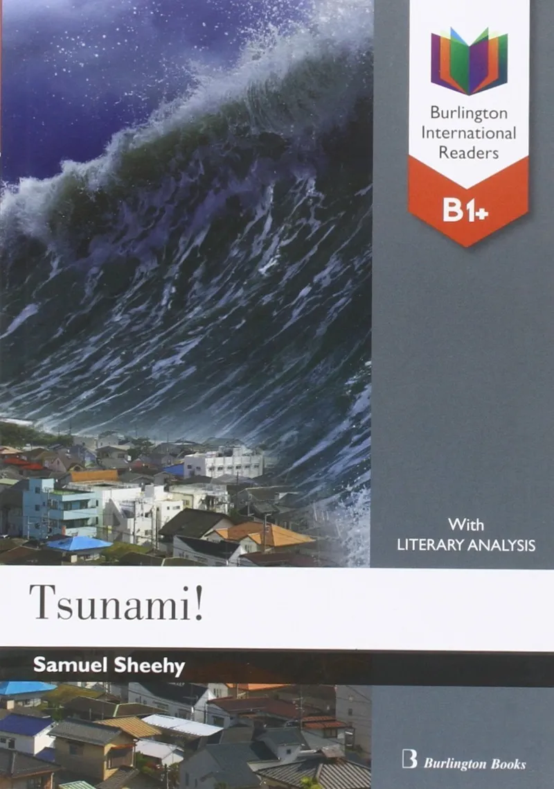 TSUNAMI -1R BATXILLERAT RAHOLA-