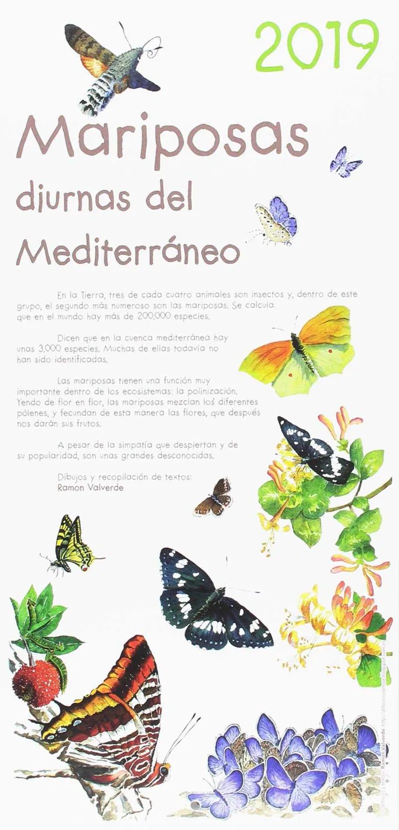 CALENDARIO 2019 MARIPOSAS DIURNAS DEL MEDITERRANEO