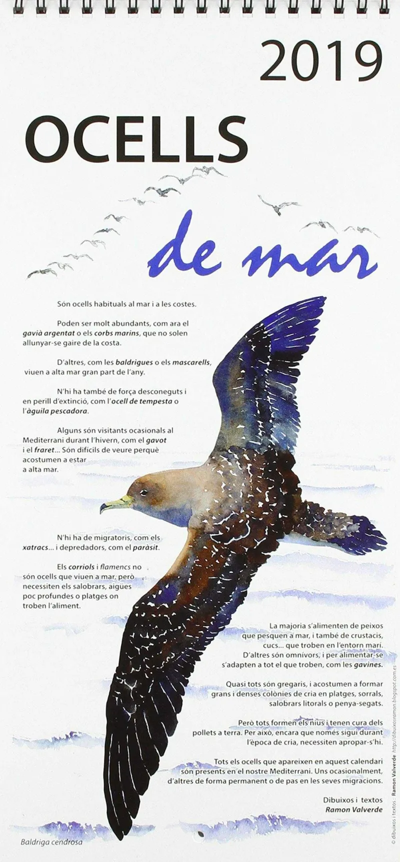 CALENDARI 2019 OCELLS DE MAR